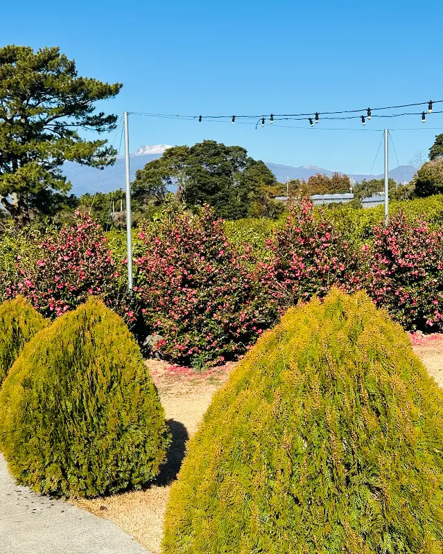 모노클제주 정원