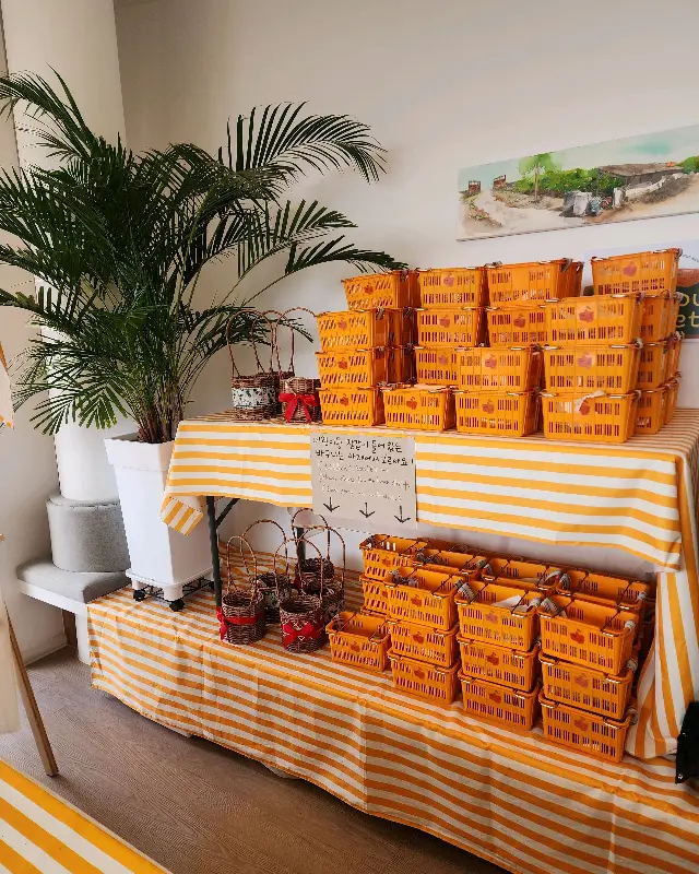 귤 따기 체험 바구니