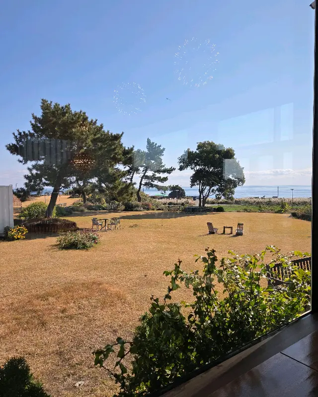 카페 내부에서 보이는 넓은 잔디밭과 바다 풍경