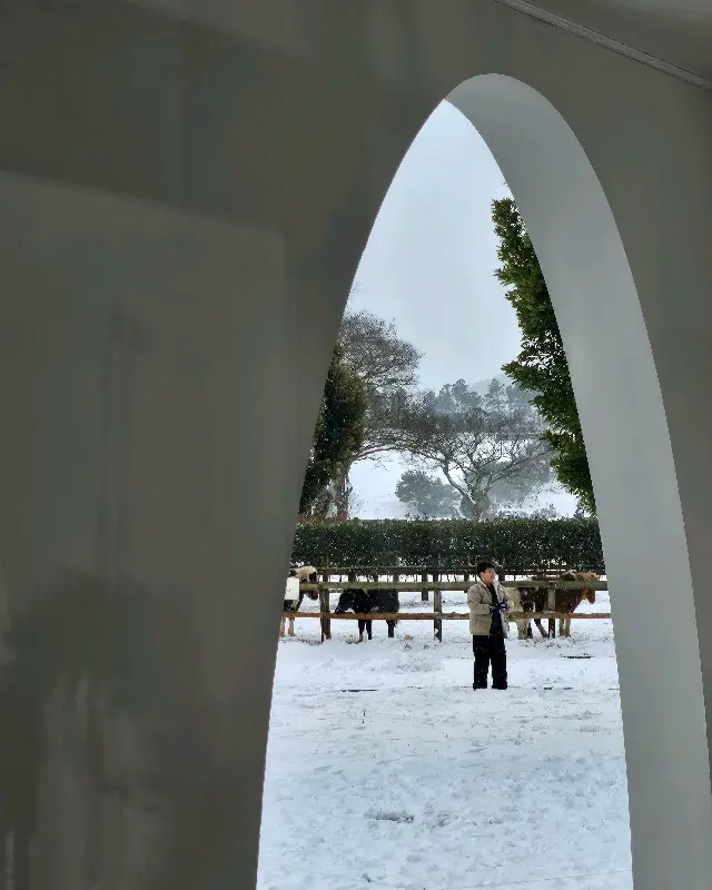 밭디 목장의 설경