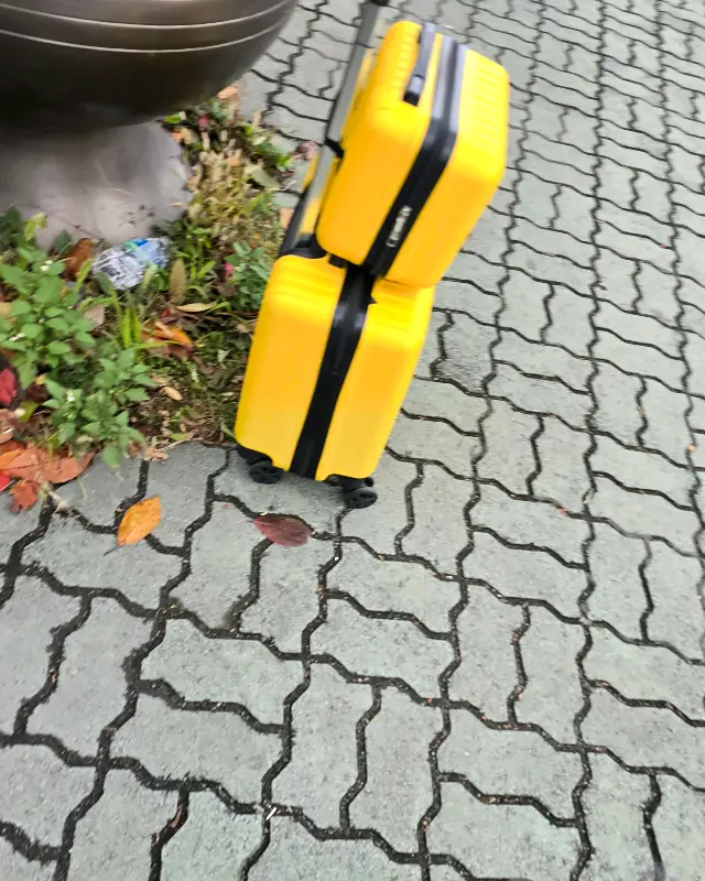 돌카롱 앞 캐리어