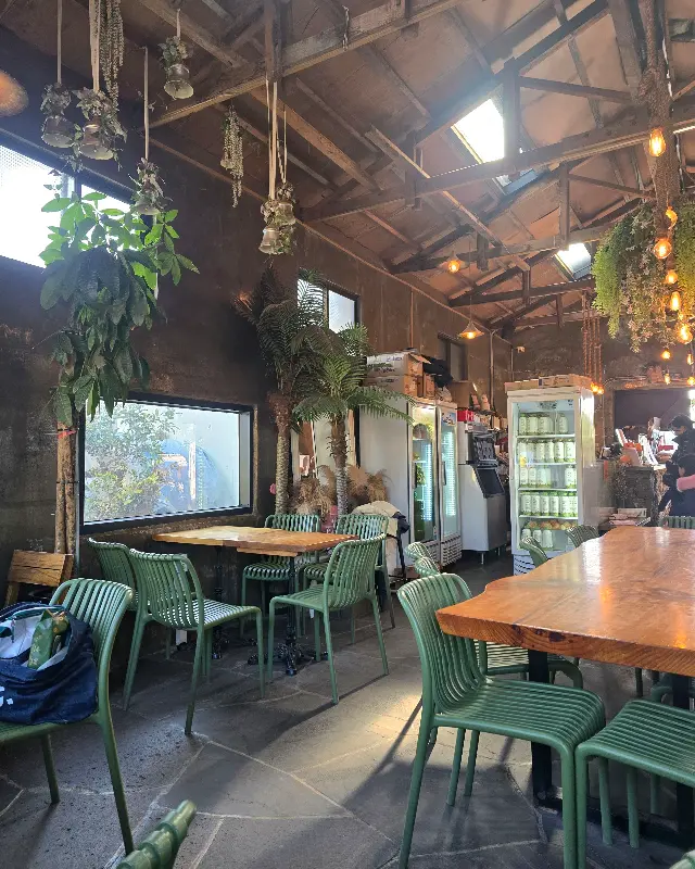 감귤 농장 풍경