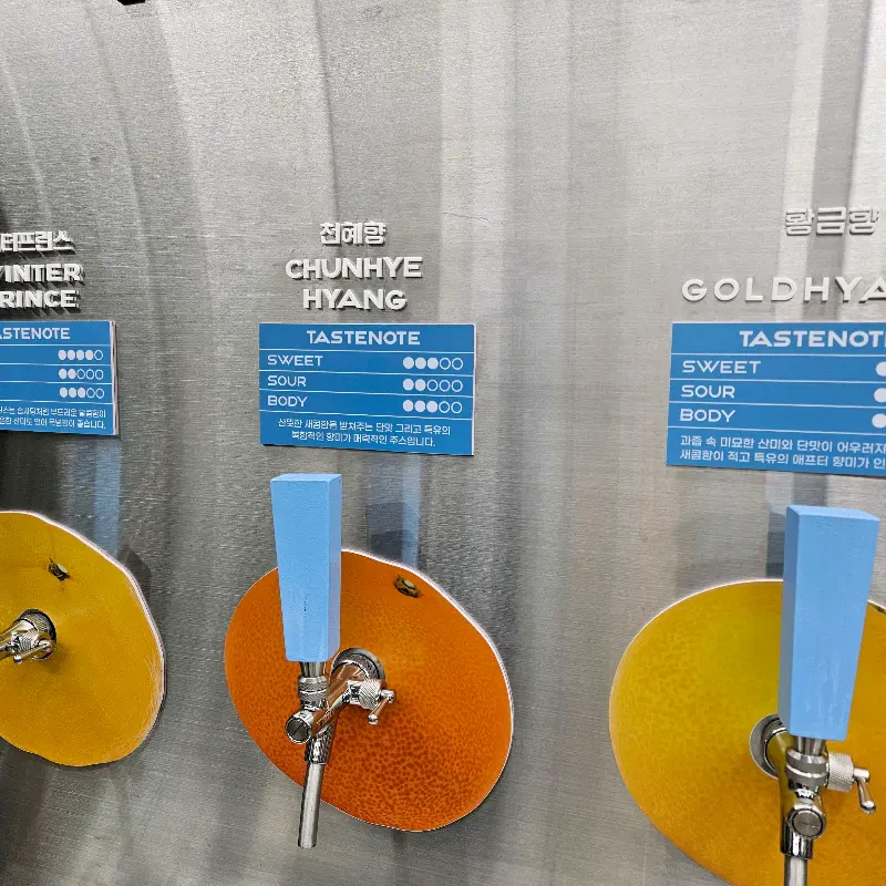 귤 품종별 맛 설명