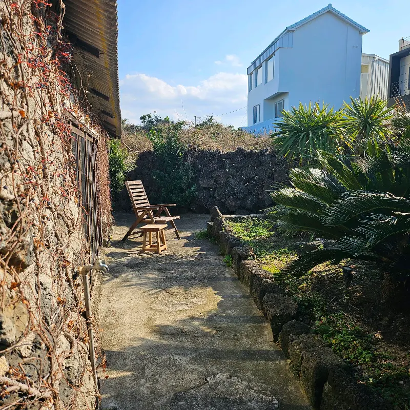 카페 외관의 돌담, 덩굴이 뒤덮여 있어 자연 친화적인 느낌을 준다.