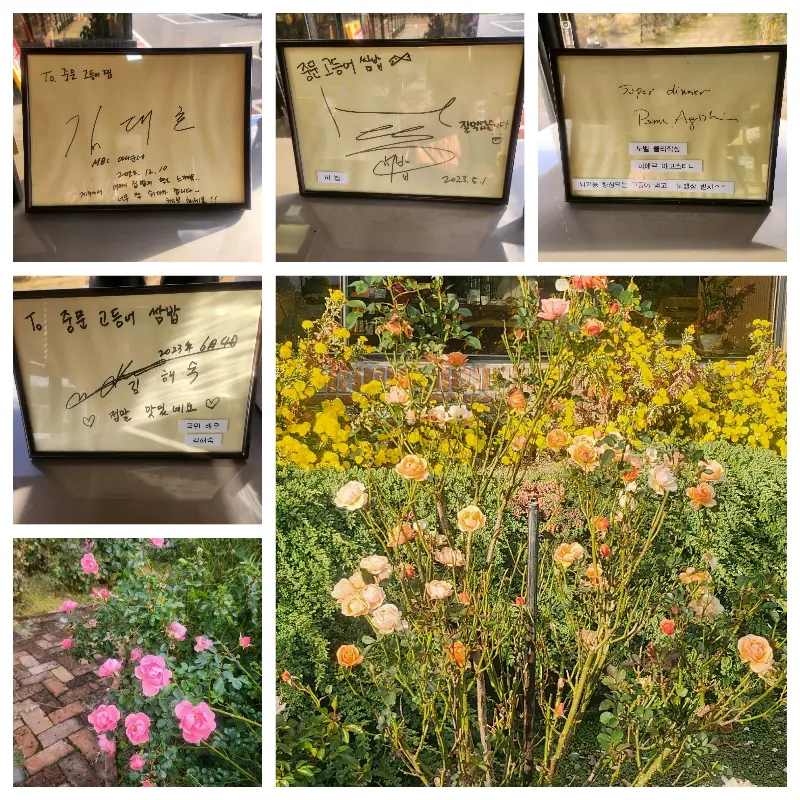 정원에 핀 장미꽃