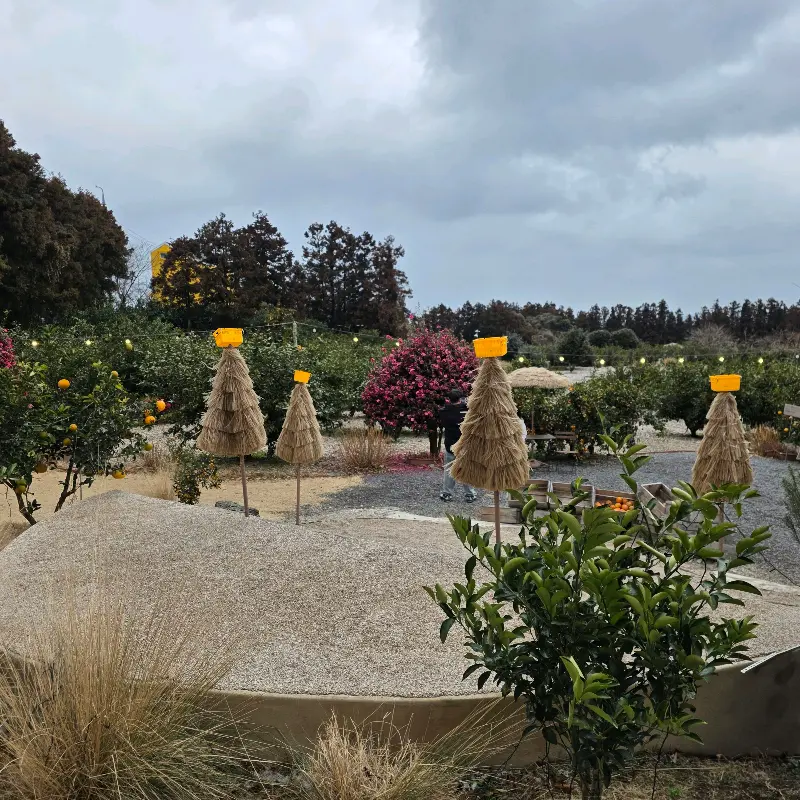 카페 외부 풍경