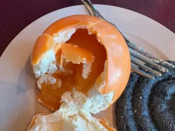 파도소리 ASMR과 빵의 향연: 제주 앙뚜아네트에서 맛보는 황홀한 미각 실험, 여기가 진짜 제주 맛집