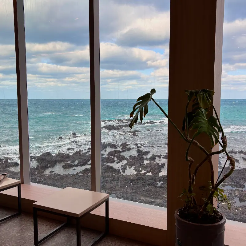 창밖으로 보이는 바다 풍경