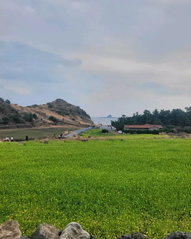 카페에서 바라본 풍경