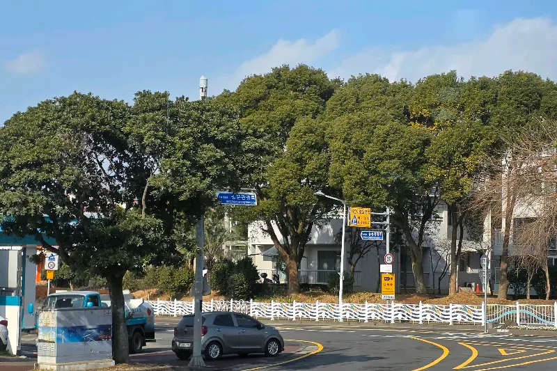 매장 외부 전경