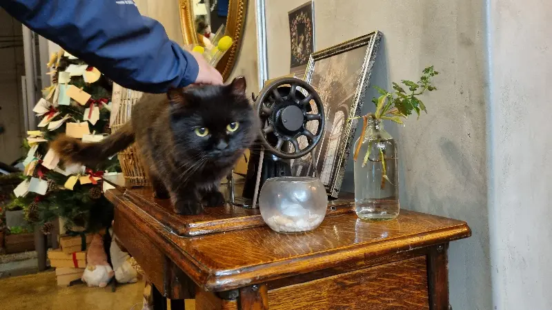 네거리식당 고등어구이