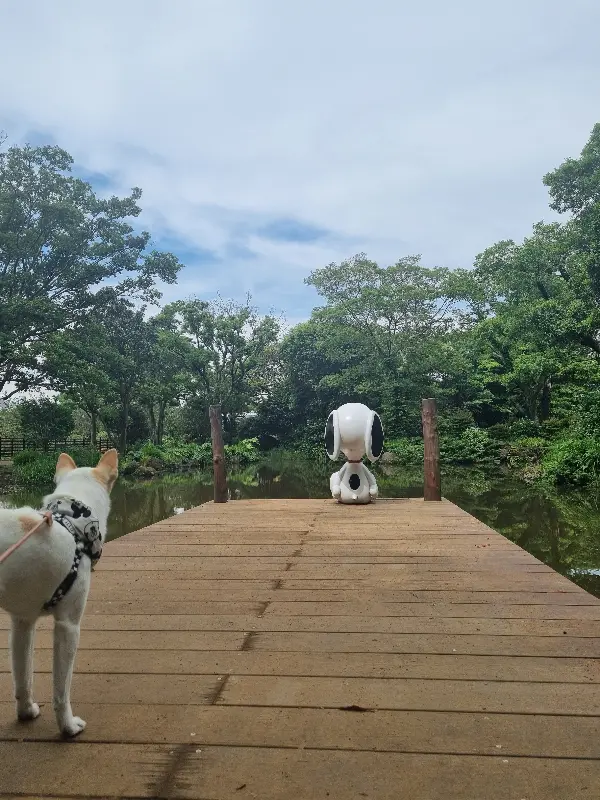 깔끔한 매장 내부