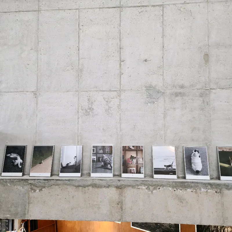 카페 내부 벽면에 걸린 사진 작품들