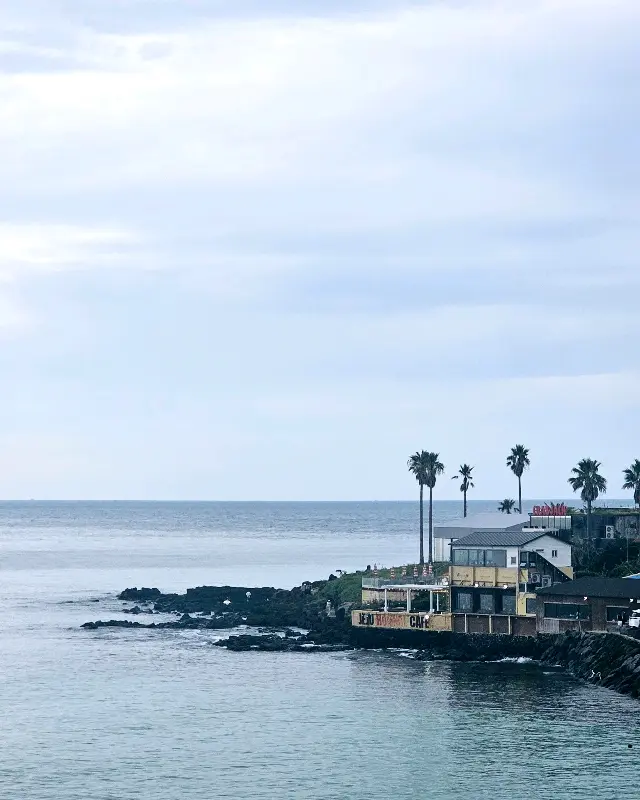 팀블로우에서 바라본 애월 해안