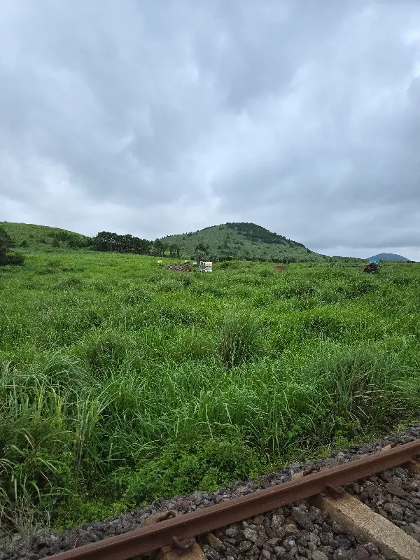 친봉산장 주변 풍경