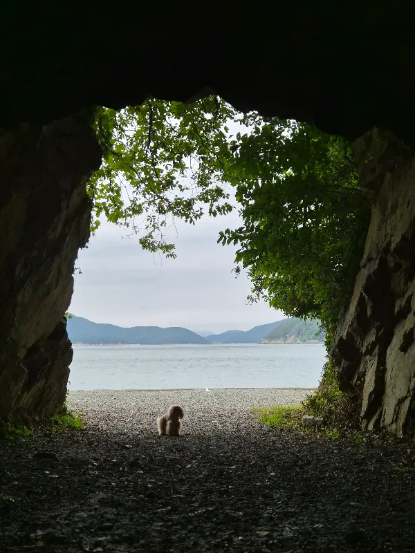 애월 바다 풍경