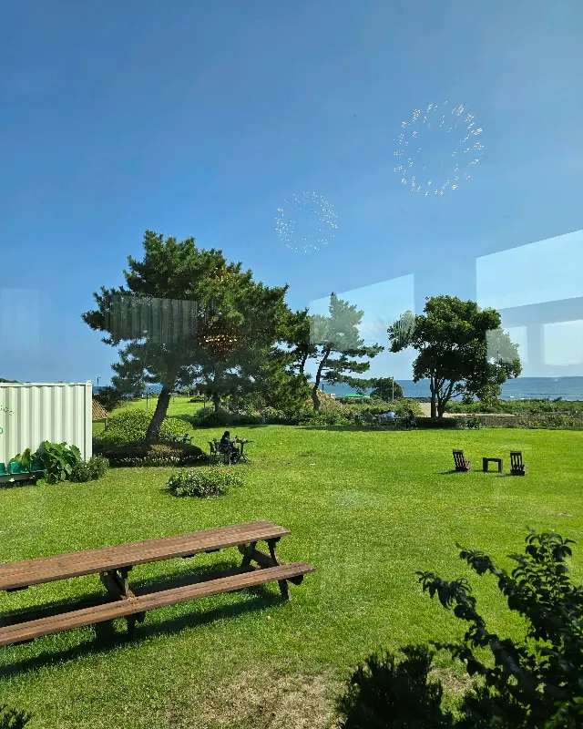 카페에서 보이는 넓은 잔디밭 풍경