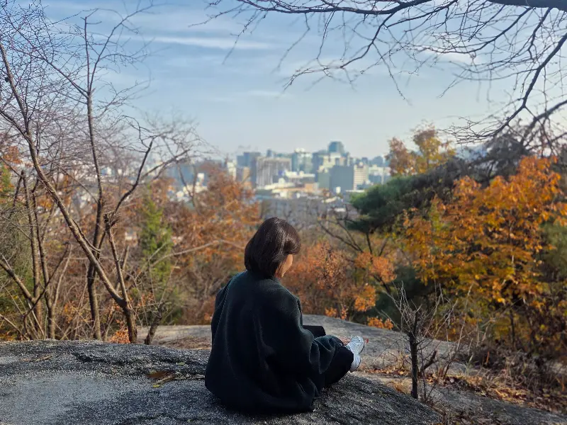 식당 외부 경치