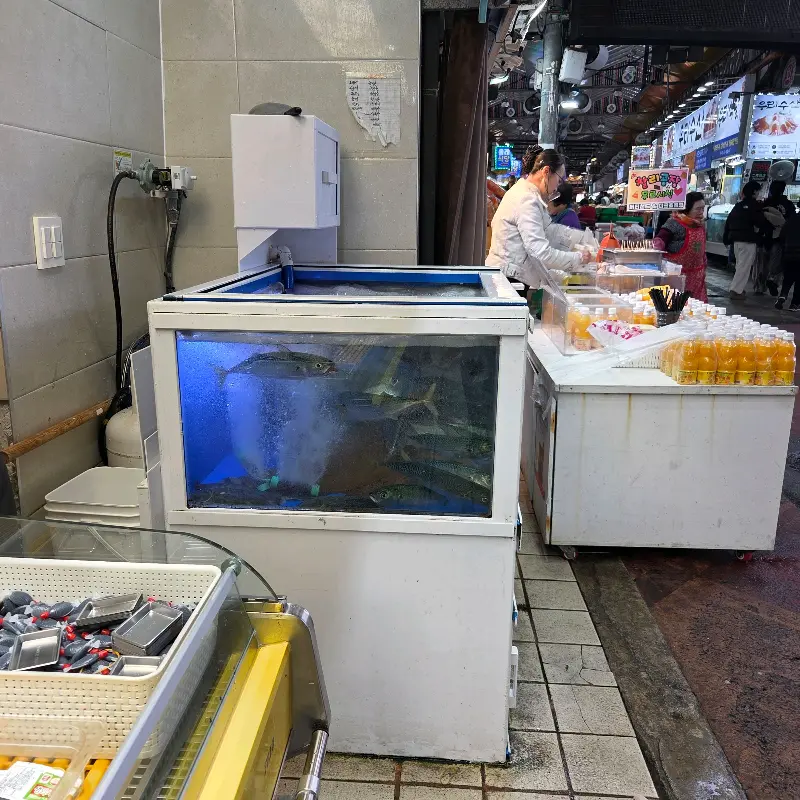 수족관의 싱싱한 물고기