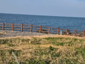 제주도 바다 뷰에 취하고 빵 맛에 넉다운! 외도339, 인생 맛집 등극 스토리