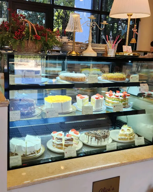 케이크 쇼케이스