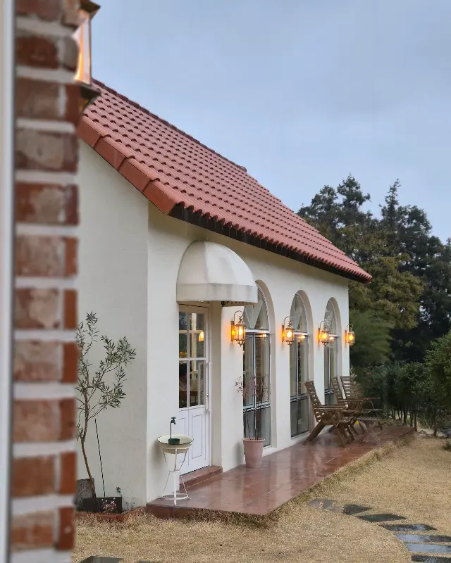 귤이 가득 열린 나무