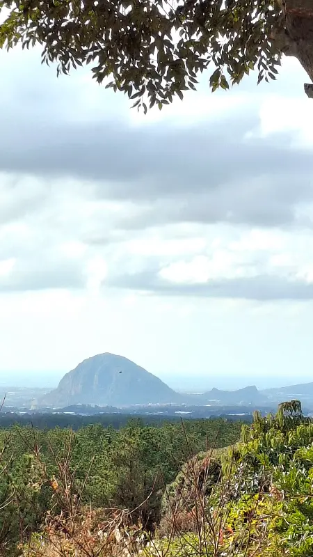 고기국수와 깍두기