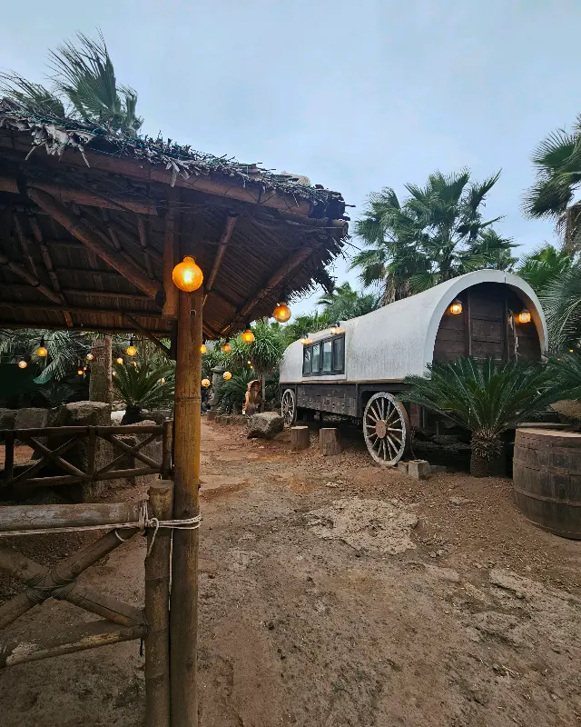 낭만적인 분위기의 어린왕자 감귤밭