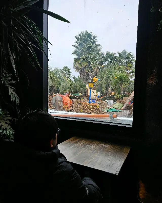 카페에서 바라본 풍경