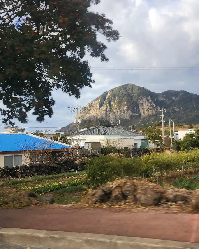 식당에서 바라본 아름다운 산방산 풍경