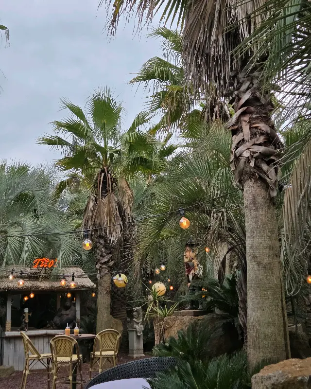 야자수 정원의 밤 풍경