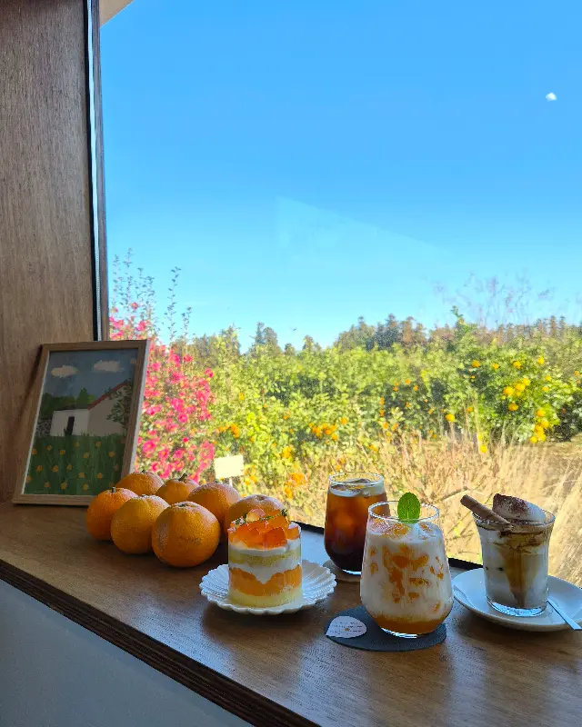 귤라떼, 귤케이크, 콘테나 커피