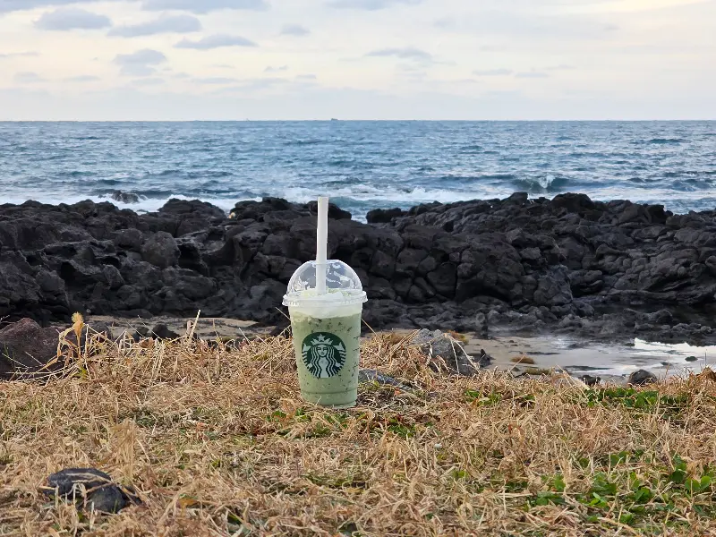 서귀포 바다 풍경