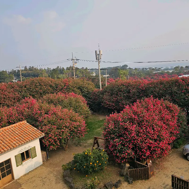 옥상에서 바라본 풍경