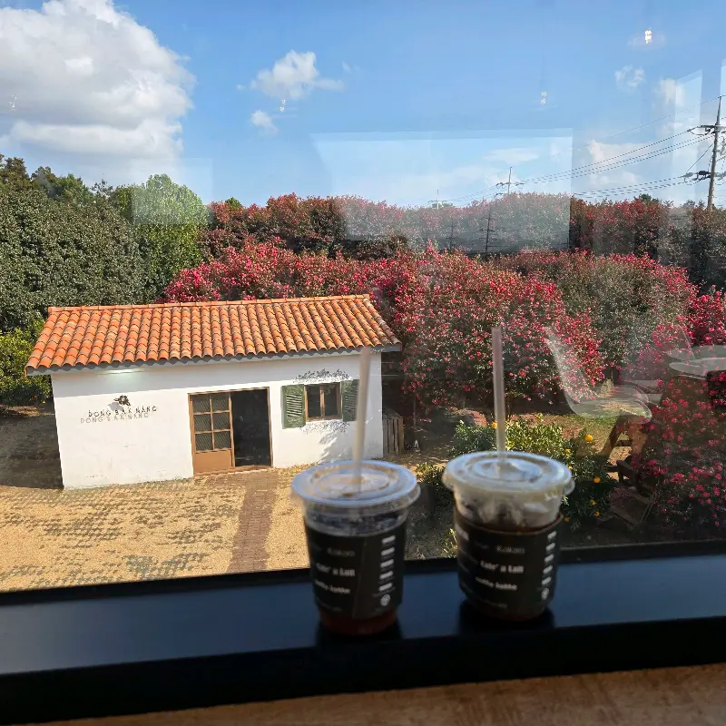 창밖으로 보이는 동박낭 전경: 붉은 동백꽃과 아담한 건물이 그림처럼 펼쳐진다.