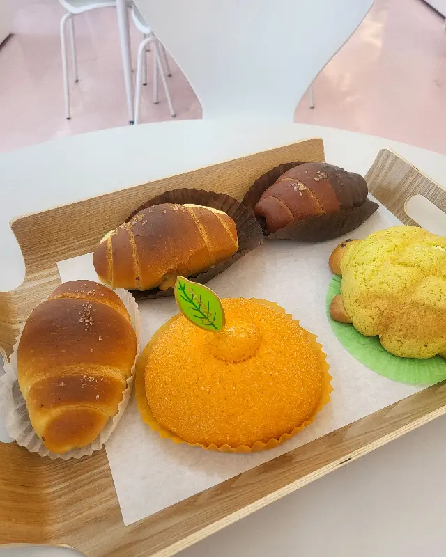 다양한 빵 종류