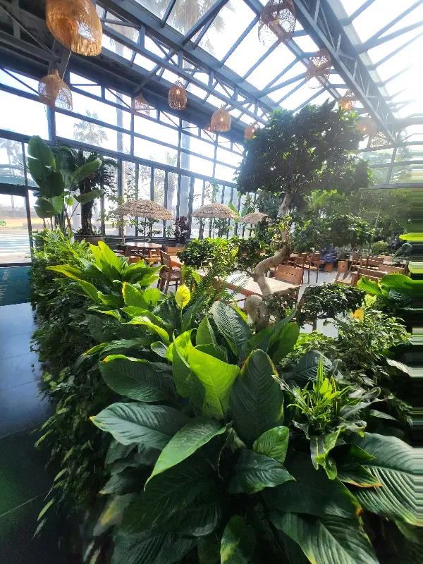 카페 내부의 플랜테리어
