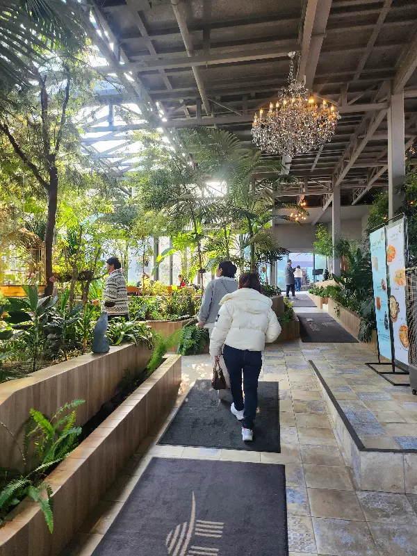 카페 내부의 플랜테리어