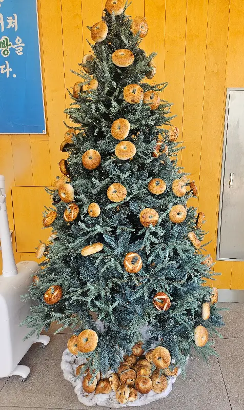 청수당 애월점 크리스마스 장식