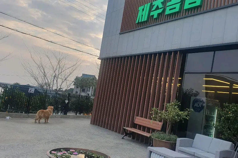 제주곰집 외부 전경