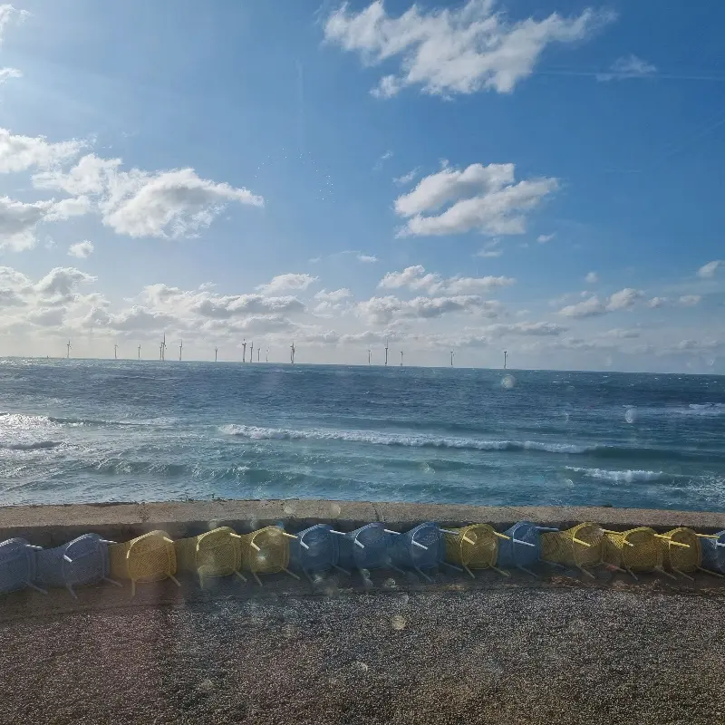 팀블로우 오션뷰