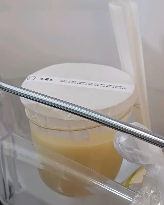 냉장고 안의 커스터드 푸딩