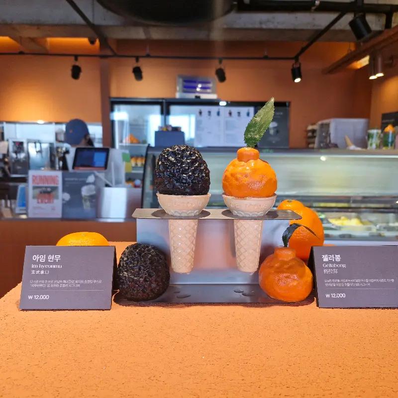 젤라봉과 IM 현무 모형