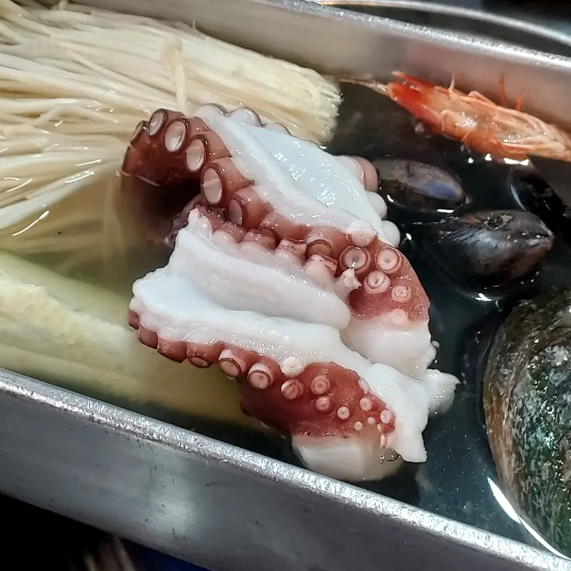 해물칼국수 전체샷