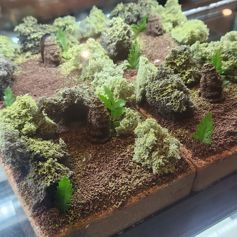 앙증맞은 당근 프로마쥬 케이크