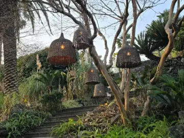 감귤 향 가득한 서귀포 정원에서 즐기는 특별한 커피, 중문별장 커마카세 맛집