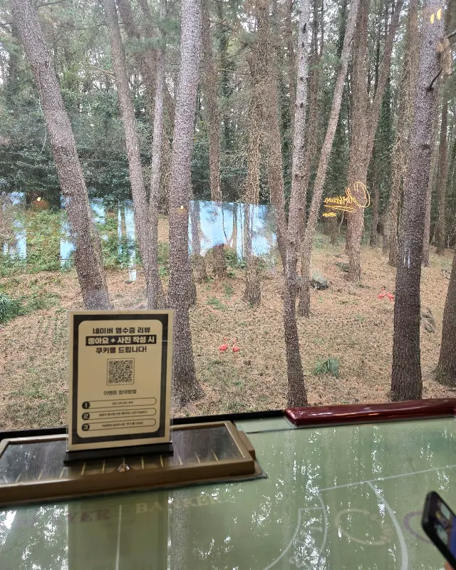 창밖으로 보이는 아름다운 소나무 숲 뷰