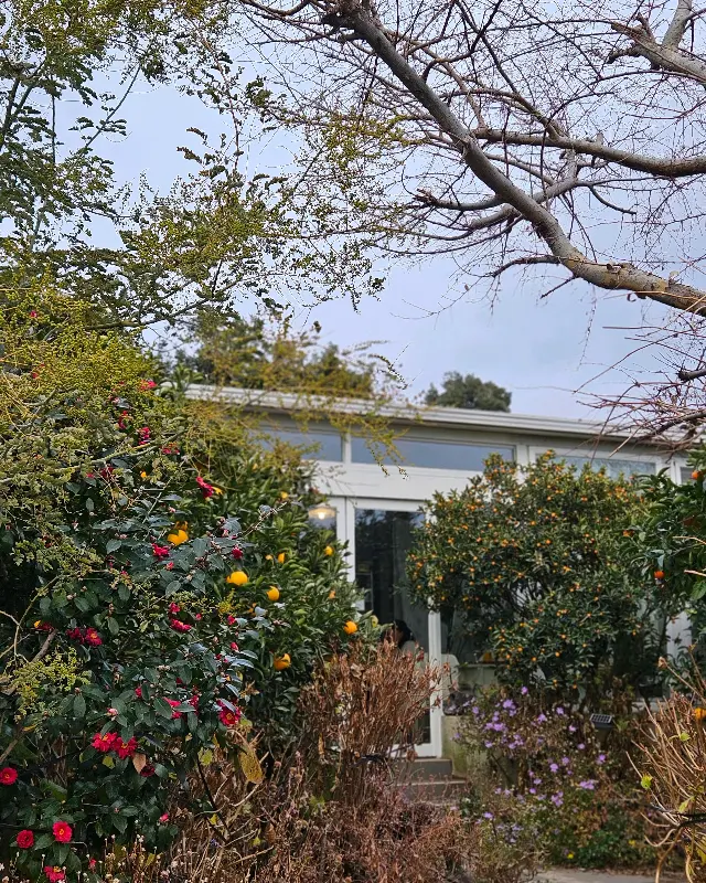 귤꽃다락 야외 정원