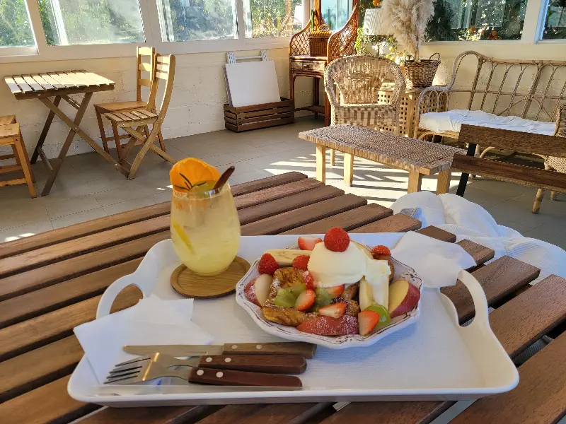 직접 딴 감귤을 들고 웃는 모습