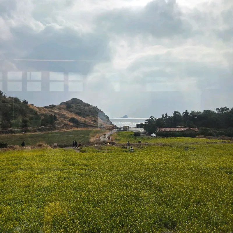 소색채본에서 바라본 용머리해안